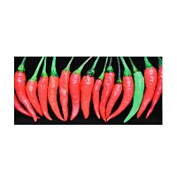 СТЕКЛО К ВЫТЯЖКЕ_MAUNFELD Berford 60 с декором "Перцы"