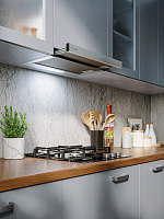 Вытяжка кухонная встраиваемая LEX HONVER 500 INOX